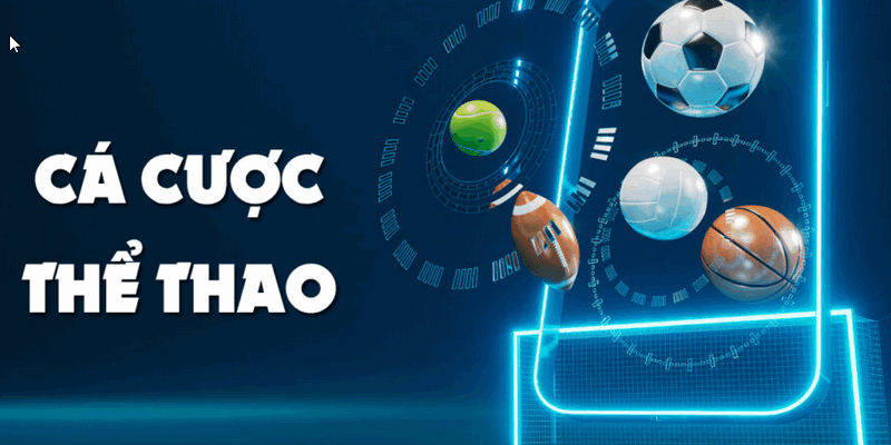 Thể thao Hi88 cập nhật các trận cầu trực tiếp mỗi ngày